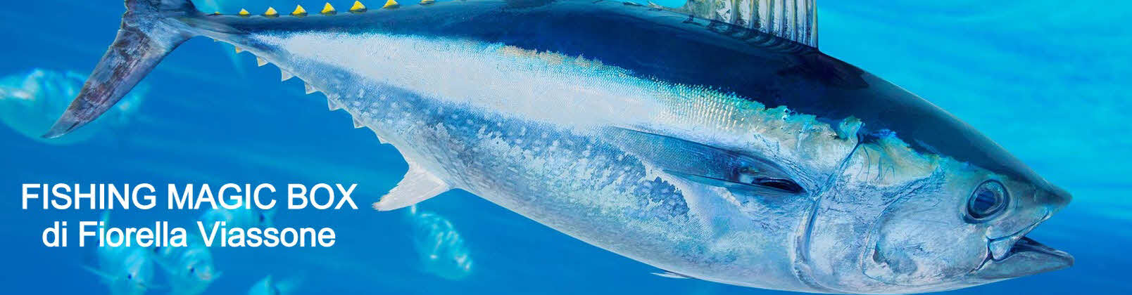 migliori negozi pesca online