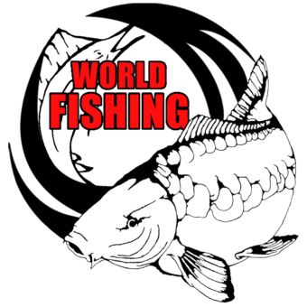 logo world fish