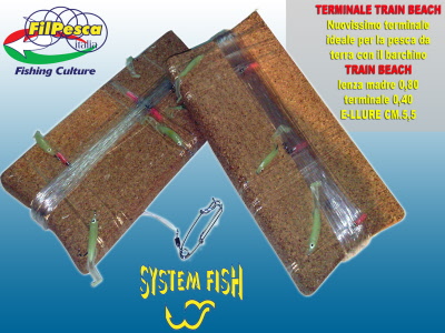 terminale train beach